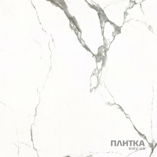 Керамогранит Almera Ceramica Carrara GXJ00160S CARRARA 600х600х9 белый,серый - Фото 4