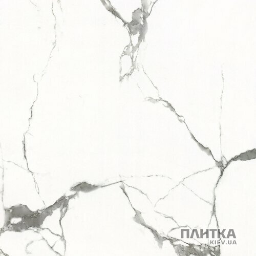Керамогранит Almera Ceramica Carrara GXJ00160S CARRARA 600х600х9 белый,серый - Фото 6