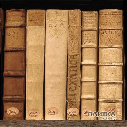 Підлогова плитка Peronda-Museum Books BOOKS/P коричневий - Фото 3