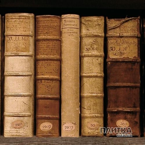 Підлогова плитка Peronda-Museum Books BOOKS/P коричневий - Фото 4