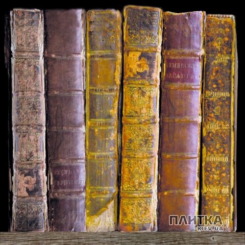 Напольная плитка Peronda-Museum Books BOOKS/P 149 коричневый - Фото 7