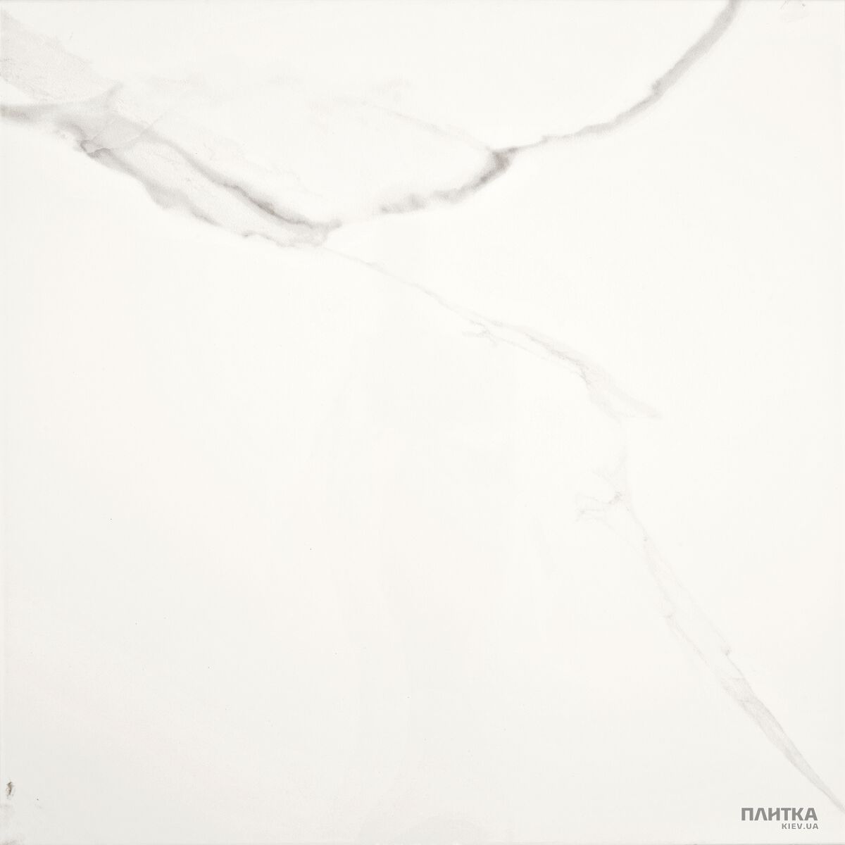Підлогова плитка Alaplana Cavan CAVAN CALACATTA білий,сірий