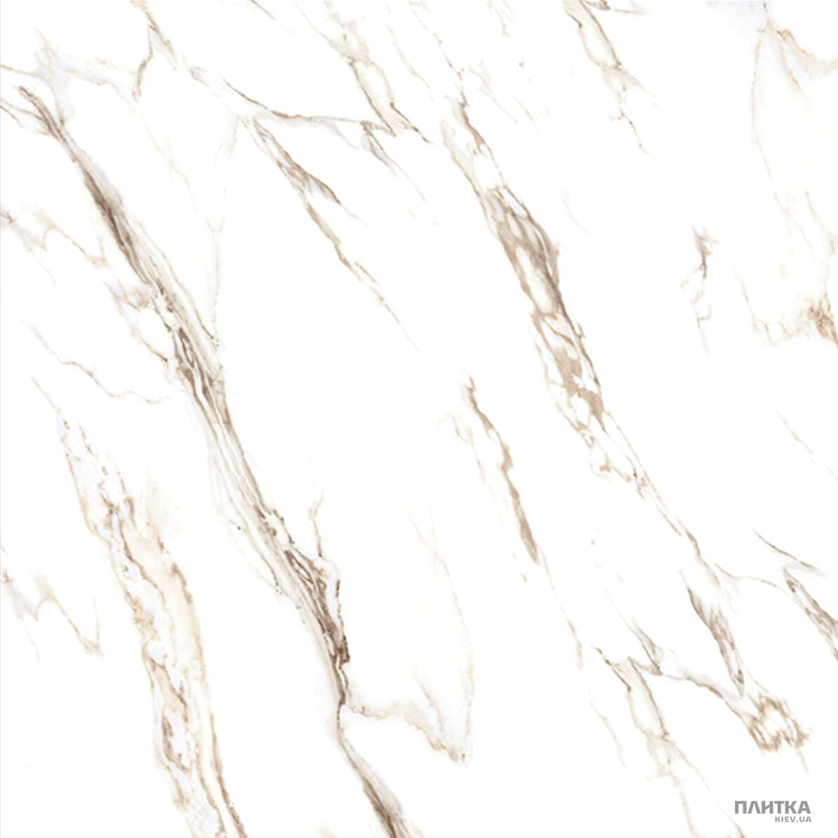 Підлогова плитка Almera Ceramica Calacatta CALACATTA білий,сірий