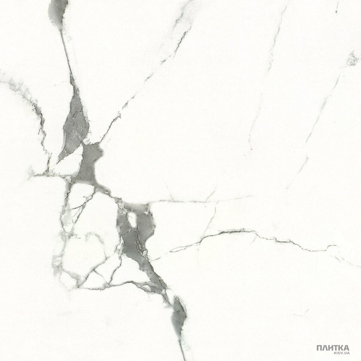 Керамограніт Almera Ceramica Carrara GXJ00160S CARRARA 600х600х9 білий,сірий