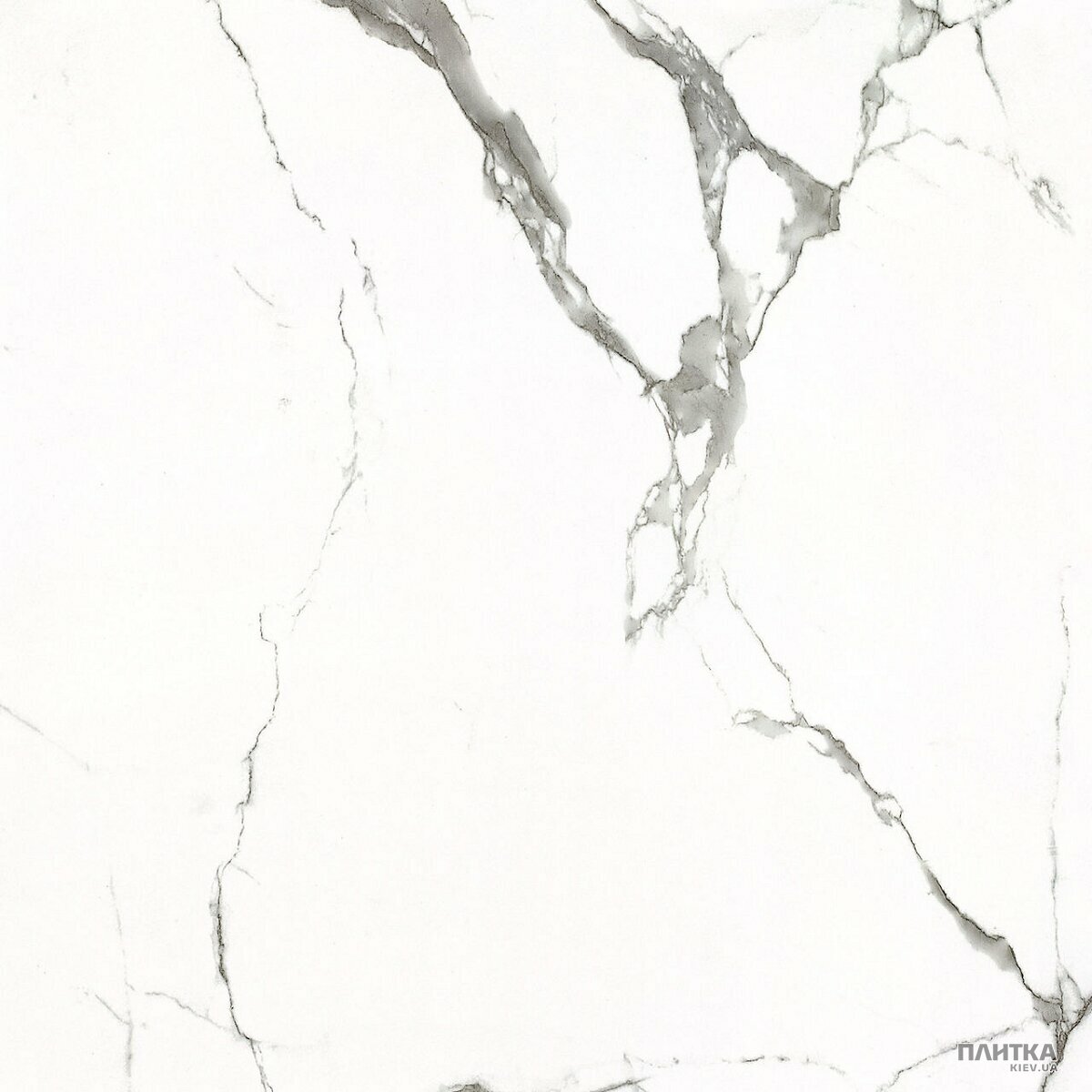 Керамогранит Almera Ceramica Carrara GXJ00160S CARRARA 600х600х9 белый,серый