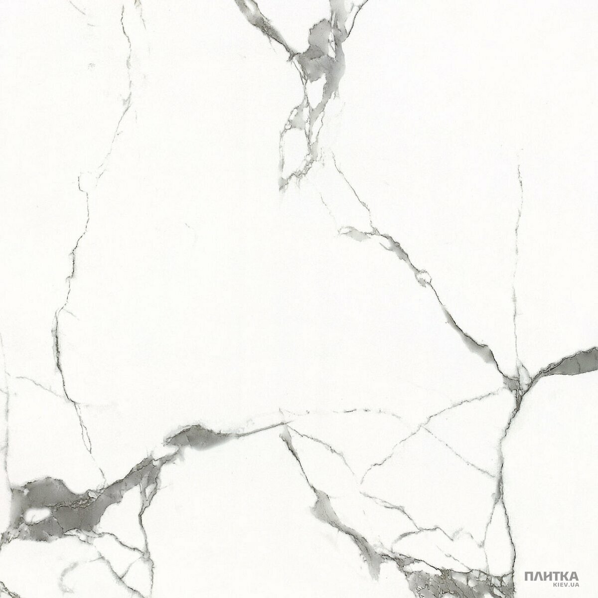 Керамогранит Almera Ceramica Carrara GXJ00160S CARRARA 600х600х9 белый,серый
