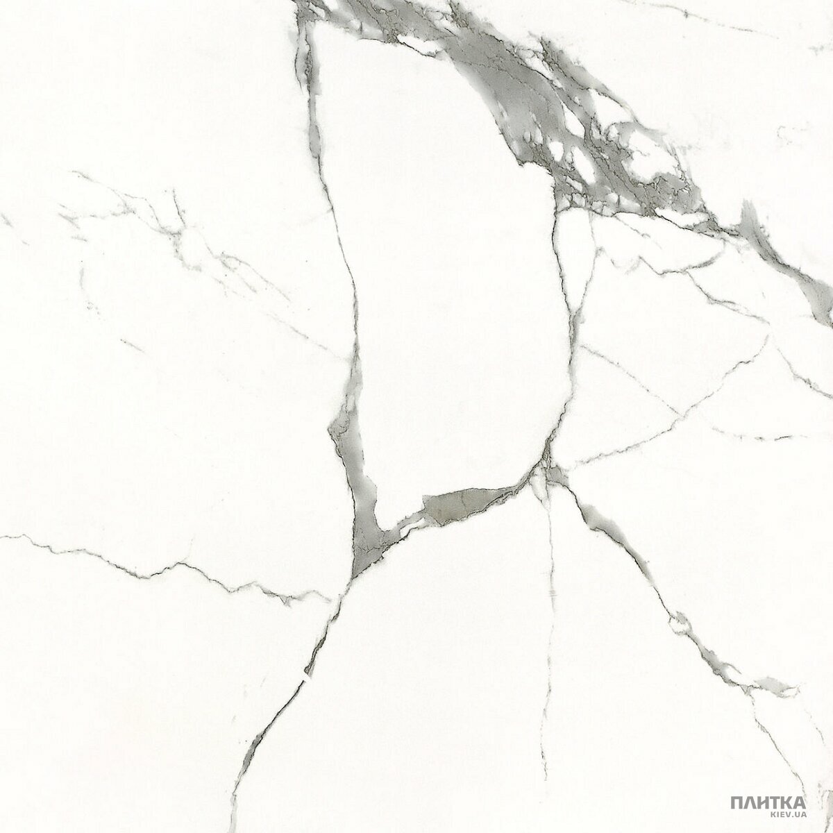 Керамограніт Almera Ceramica Carrara GXJ00160S CARRARA 600х600х9 білий,сірий