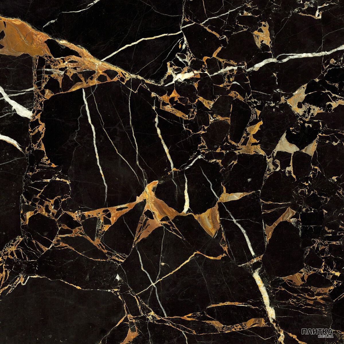 Підлогова плитка Golden Tile Saint Laurent 9AС590/9AС599 чорний,золотий