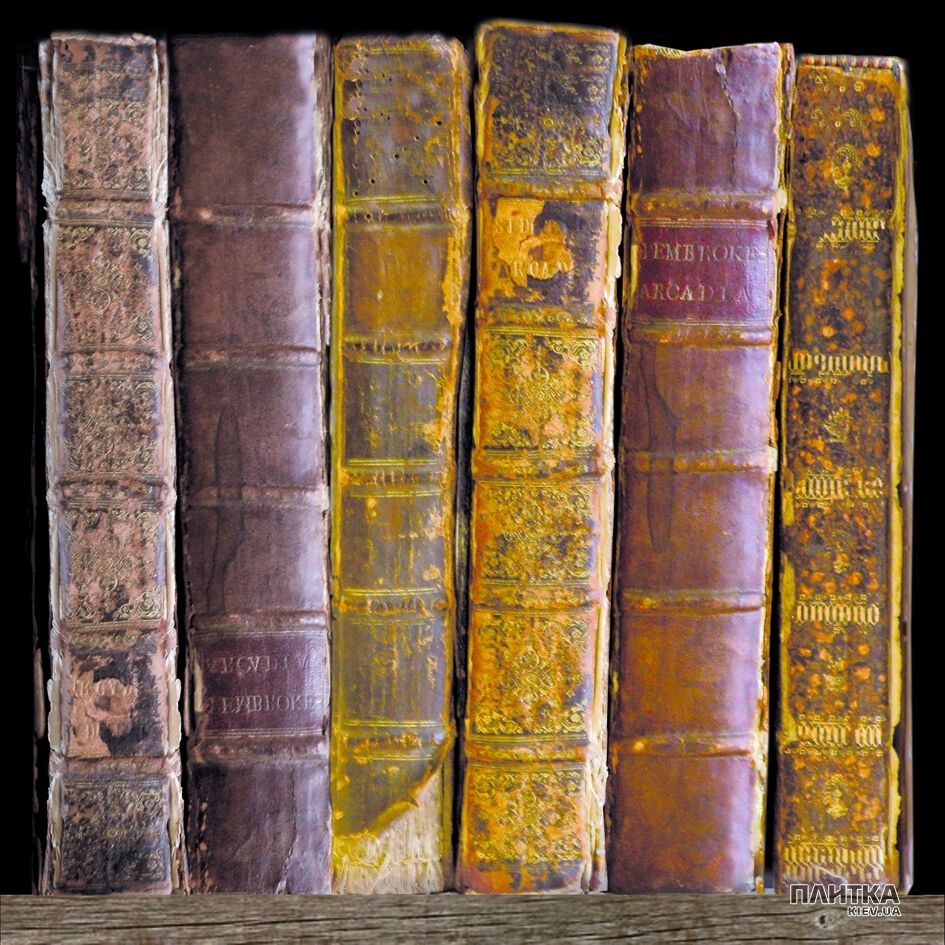 Підлогова плитка Peronda-Museum Books BOOKS/P коричневий