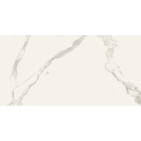 Керамограніт Almera Ceramica Carrara GQW8321M CARRARA MAT білий