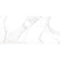 Керамограніт Almera Ceramica Marmori MARMORI 590х1200х11 білий - Фото 1