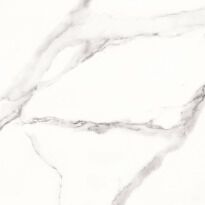 Підлогова плитка Almera Ceramica Palmira PALMIRA BLANCO (7 шт/пак) білий - Фото 1