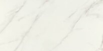 Плитка Ceramica Deseo Irvine IRVINE BLANCO 300х600х8 білий,сірий - Фото 1