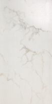 Плитка Imola Carrara CARRARA 100LP сіро-білий