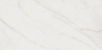 Плитка Opoczno Calacatta CALACATTA 297х600х9 белый,светло-серый - Фото 1