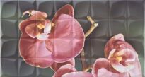 Плитка Rocersa Glamour DEC ORCHID C RSA декор сірий,рожевий - Фото 1