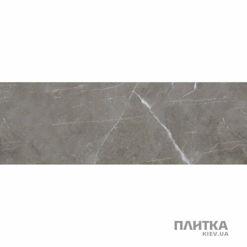 Плитка Ceramica Deseo Etania ETANIA NERO 300х900х10 серый,темно-серый - Фото 3
