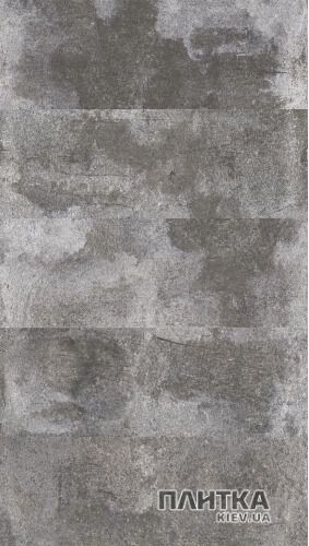 Напольная плитка Pamesa Wald WALD OXIDO серый,темно-серый - Фото 2