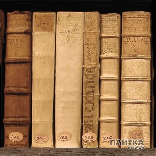 Напольная плитка Peronda-Museum Books BOOKS/P 149 коричневый - Фото 2