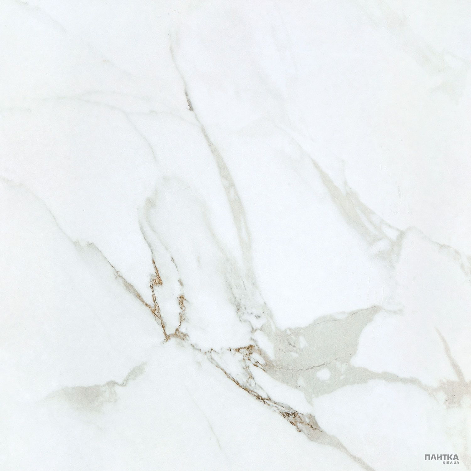 Керамограніт Almera Ceramica Carrara K060658YAF GLOSSY CARRARA білий,сірий
