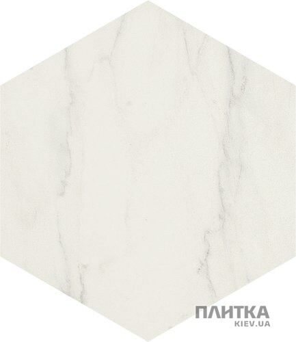 Керамогранит APE Ceramica Verona HEXAGON VERONA WHITE белый