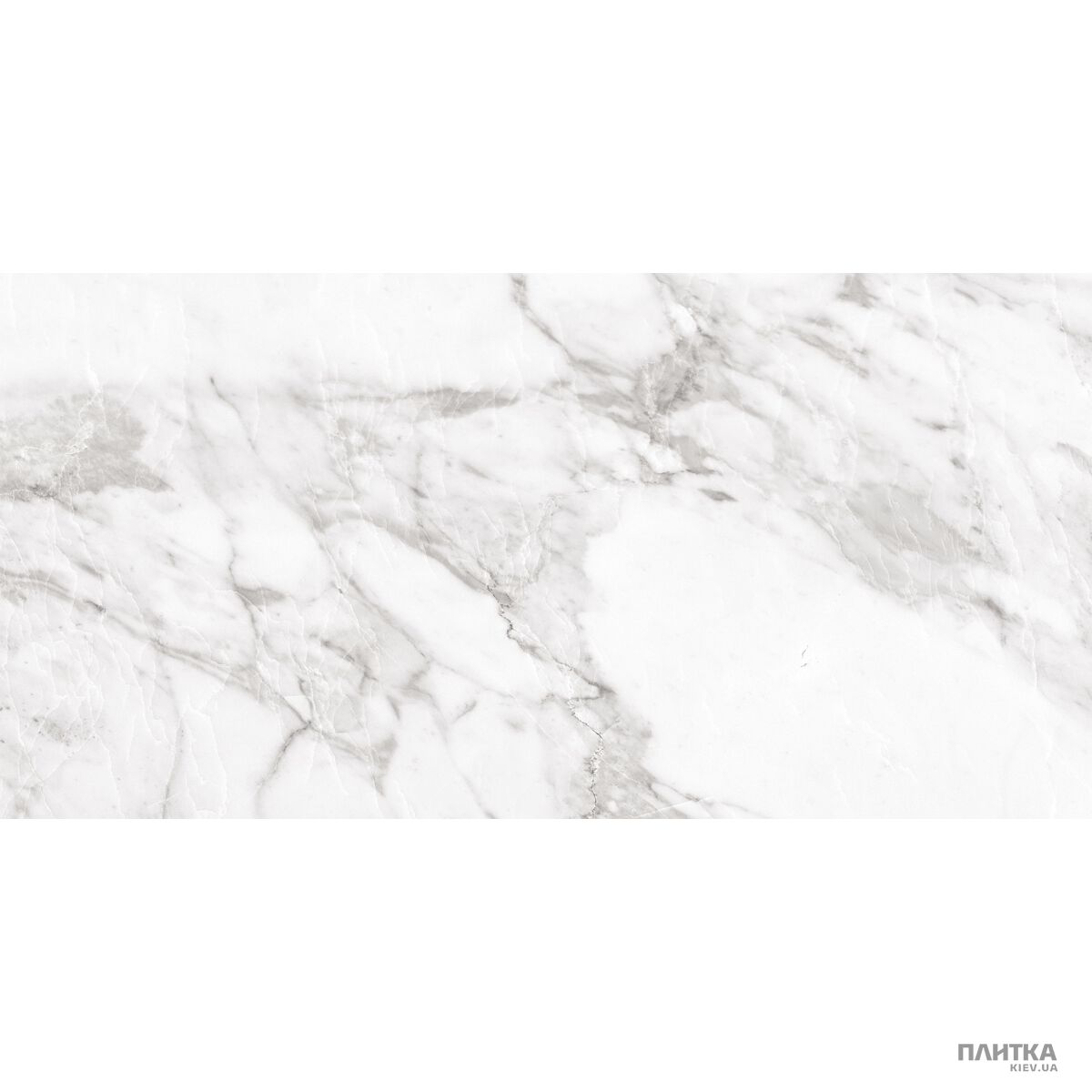 Керамогранит Argenta Carrara CARRARA WHITE SHINE белый - Фото 1