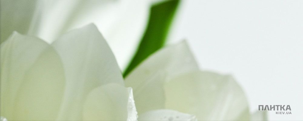 Плитка Атем Yalta Yalta Tulip Maxi 2 W білий,зелений
