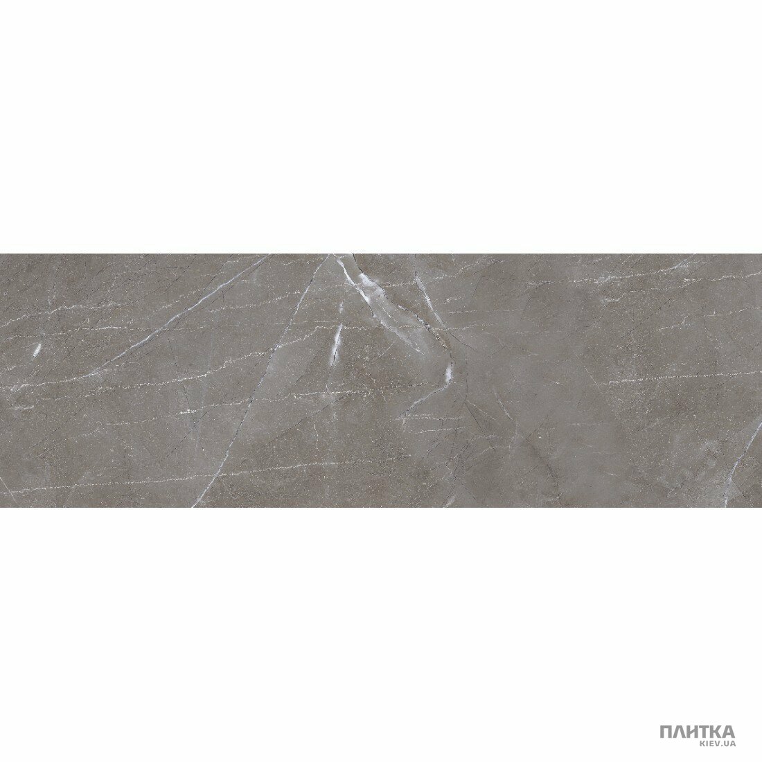 Плитка Ceramica Deseo Etania ETANIA NERO 300х900х10 серый,темно-серый