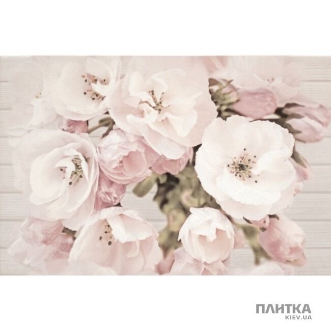 Плитка Cersanit Sakura SAKURA INSERTO FLOWER декор білий,бежевий,зелений,рожевий