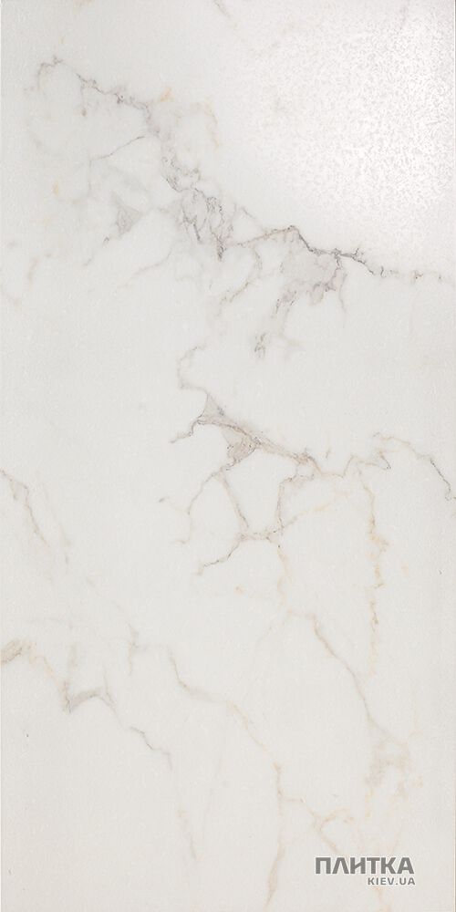 Плитка Imola Carrara CARRARA 100LP сіро-білий