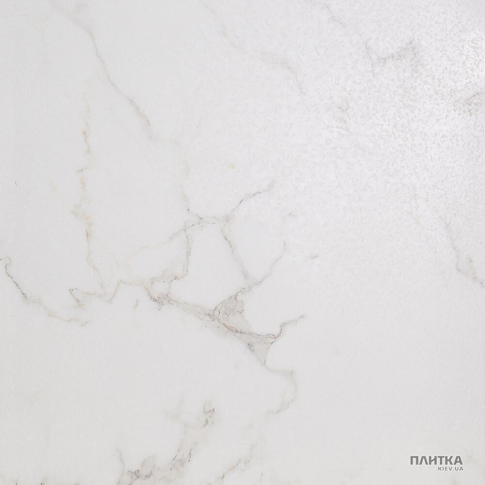 Плитка Imola Carrara CARRARA 50LP сіро-білий
