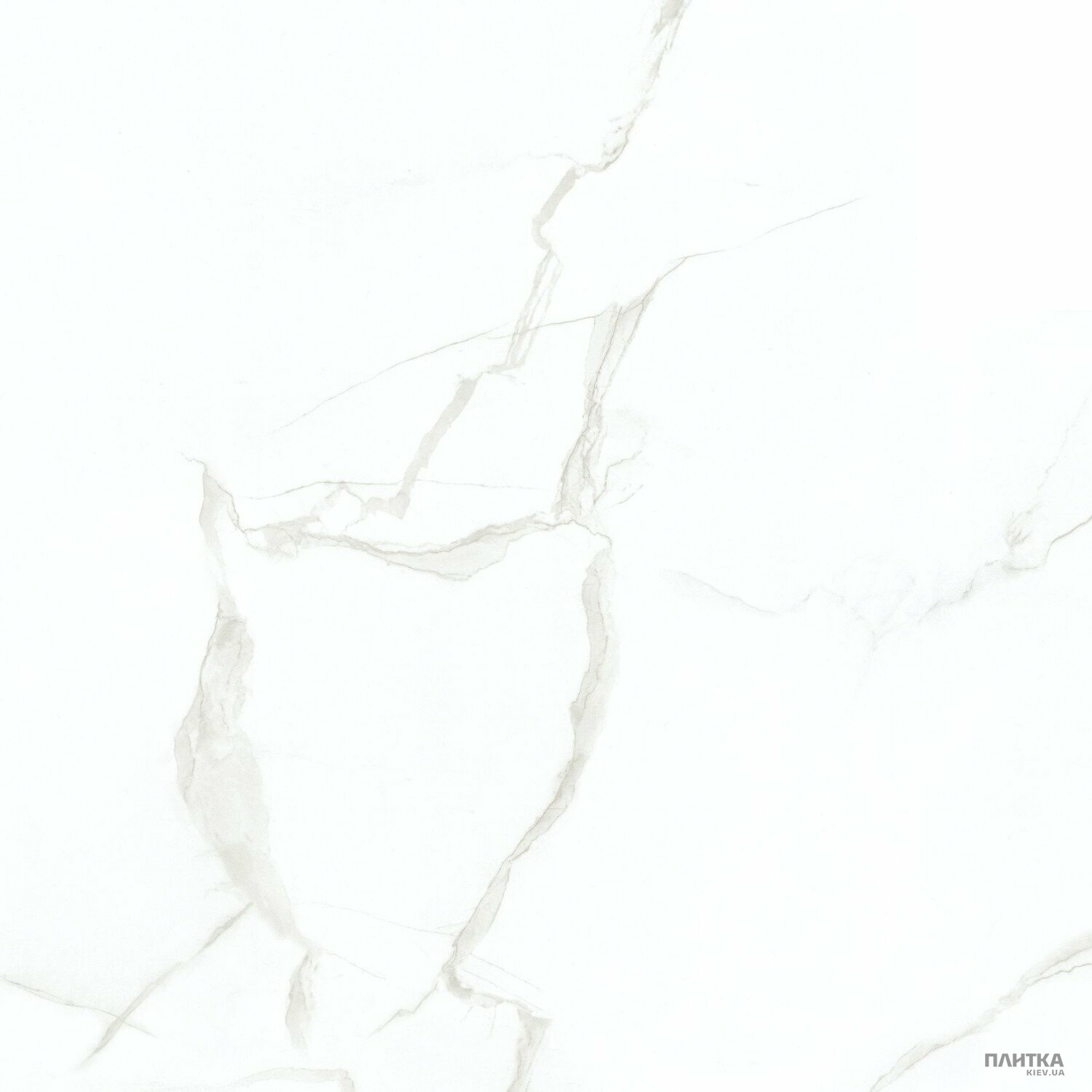 Керамогранит Megagres Carrara CB6Y025PA 600х600х8 белый