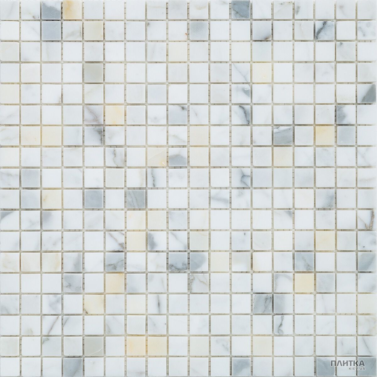 Мозаика Mozaico de Lux C-MOS C-MOS CALACATTA GOLD POL белый,серый