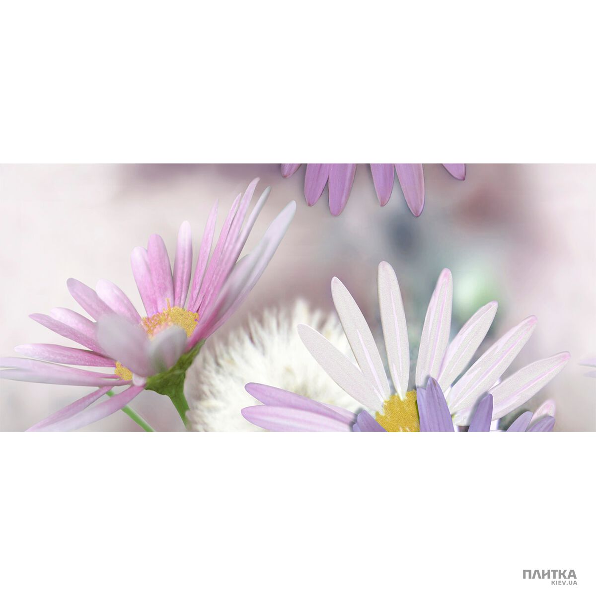 Плитка Novogres Ibiza DEC SOPHIE-3 LILA декор3 білий,фіолетовий