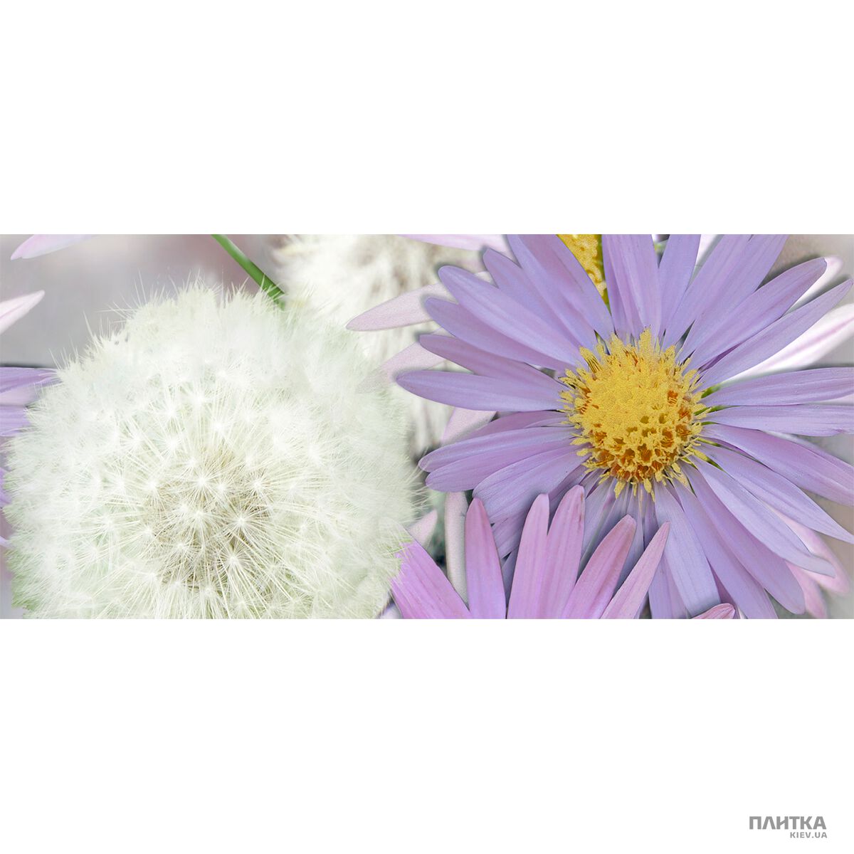 Плитка Novogres Ibiza DEC SOPHIE-3 LILA декор3 білий,фіолетовий