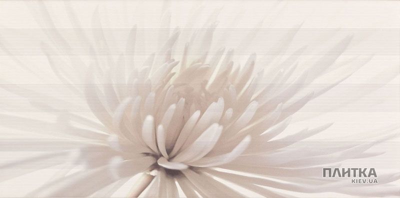 Плитка Opoczno Avangarde AVANGARDE CENTRO FLOWER белый,бежевый,серый
