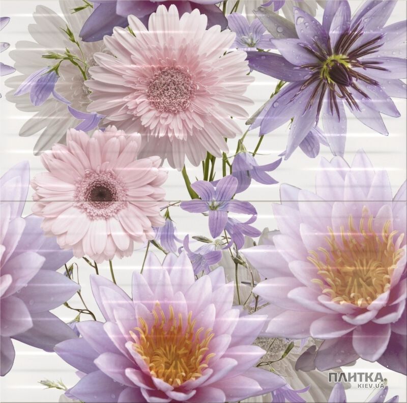 Плитка Opoczno Chinese Asters CHINESE ASTERS квіти декор2 білий,фіолетовий,рожевий
