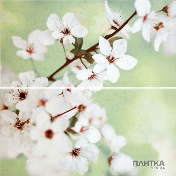 Плитка Opoczno Early Spring EARLY SPRING PANNO FLOWER декор2 білий,зелений,коричневий
