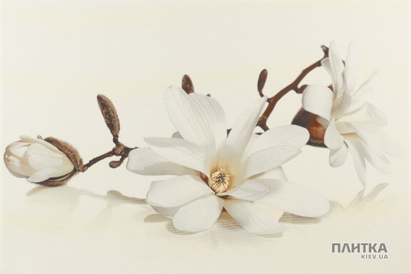 Плитка Opoczno Flora FLORA MAGNOLIA декор білий,бежевий