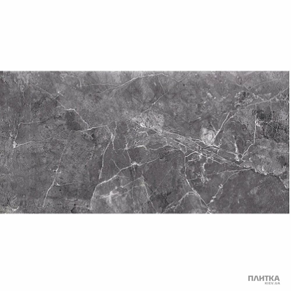 Плитка Opoczno Teneza TENEZA GREY GLOSSY 297х600х9 серый,темно-серый