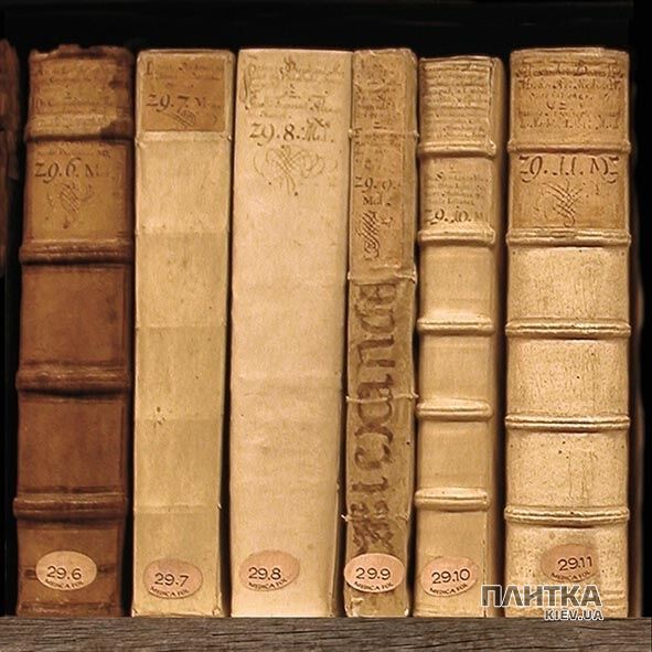 Напольная плитка Peronda-Museum Books BOOKS/P 149 коричневый
