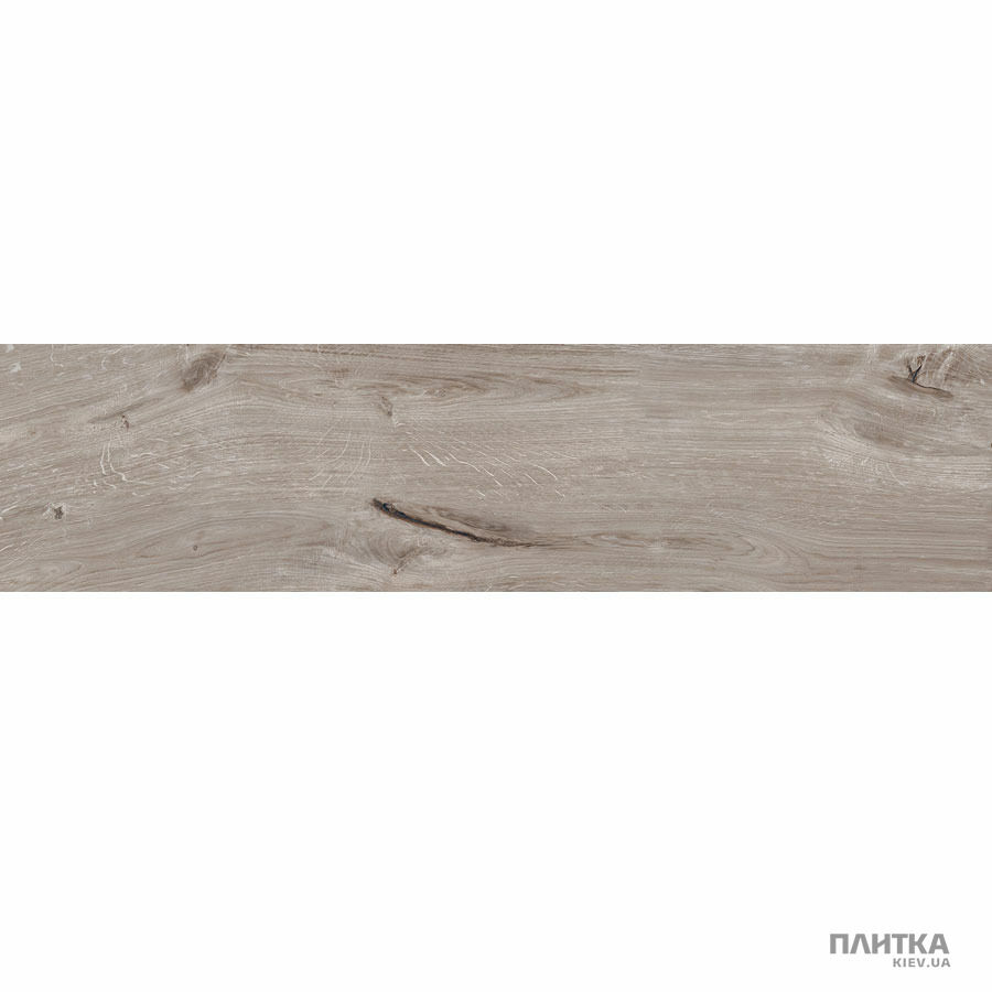 Керамограніт Zeus Ceramica Briccole Wood ZXXBL8BR сіро-коричневий