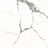 Керамогранит Almera Ceramica Carrara GXJ00160S CARRARA 600х600х9 белый,серый - Фото 7