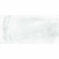Керамограніт Almera Ceramica Iron IRON WHITE 600х1200х10 білий - Фото 1