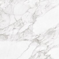 Керамогранит Argenta Carrara CARRARA WHITE SHINE 600х600х10 белый - Фото 1