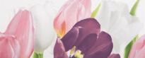 Плитка Атем Yalta Yalta Tulip 1PN білий,зелений,рожевий,жовтий