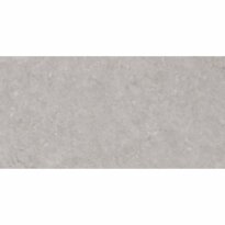 Плитка Ceramica Deseo Dual DUAL GREY 300х600х7 серый - Фото 1