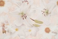 Плитка Cersanit Alama ALAMA BEIGE INSERTO FLOWERдекор белый,бежевый,коричневый,оранжевый,салатовый - Фото 1