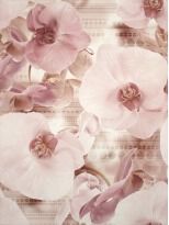Плитка Cersanit Elisabeta ELISABETA PANNO FLOWER декор бежевый,розовый,бордовый,кремовый