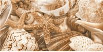 Плитка Golden Tile Sea Breeze Shells Е11411 SEA BREEZE БЕЖЕВЫЙ декор бежевий,кремовий